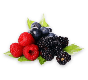 Fresh Berries